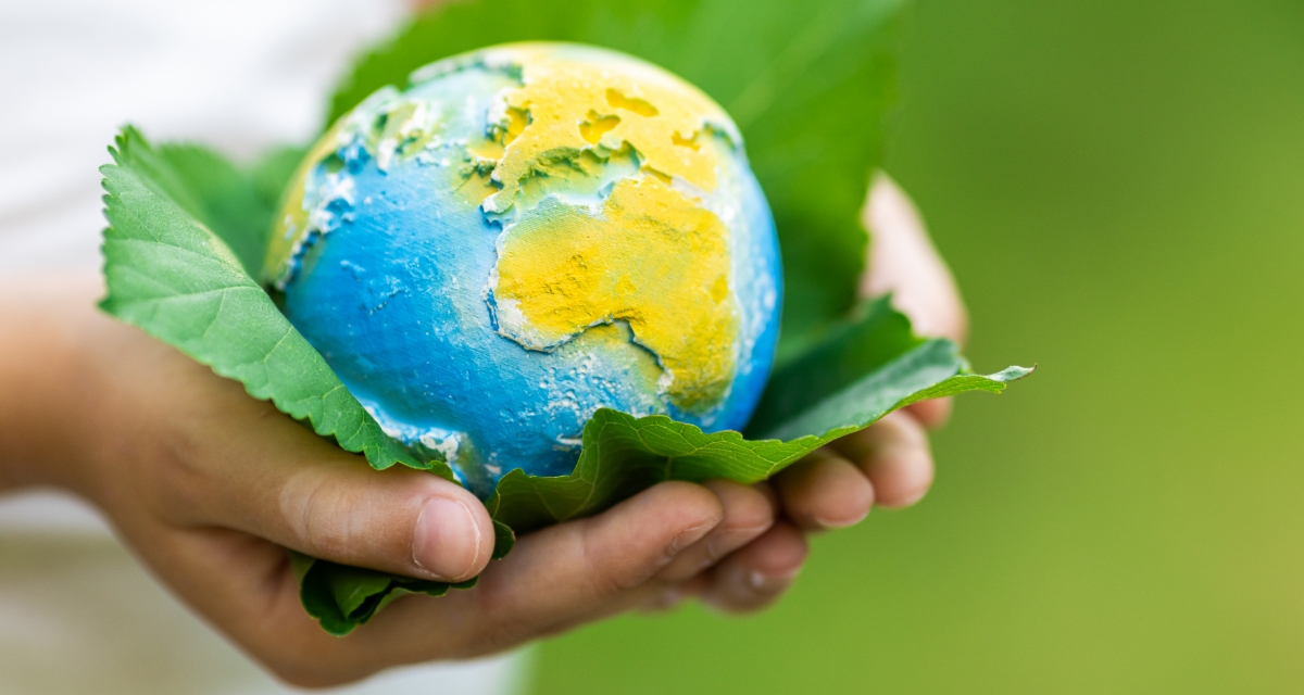 Workforce of Tomorrow: Upskilling Carers for a Greener, Smarter Care Sector